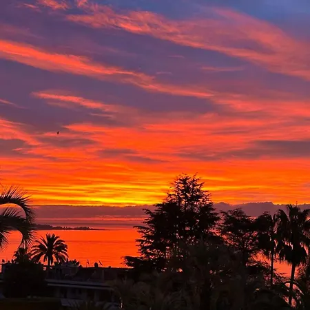 2 Vue Panoramique, Proche Croisette Cannes * 瓦洛里